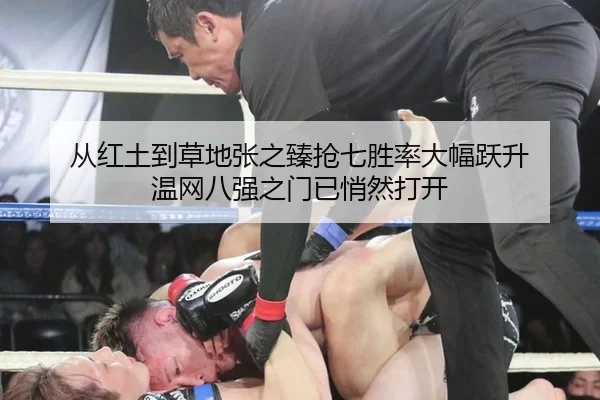从红土到草地张之臻抢七胜率大幅跃升 温网八强之门已悄然打开